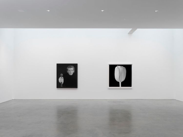 Installation view, Robert Mapplethorpe, Gladstone Gallery, 515 W 24th Street · 2026 (5)