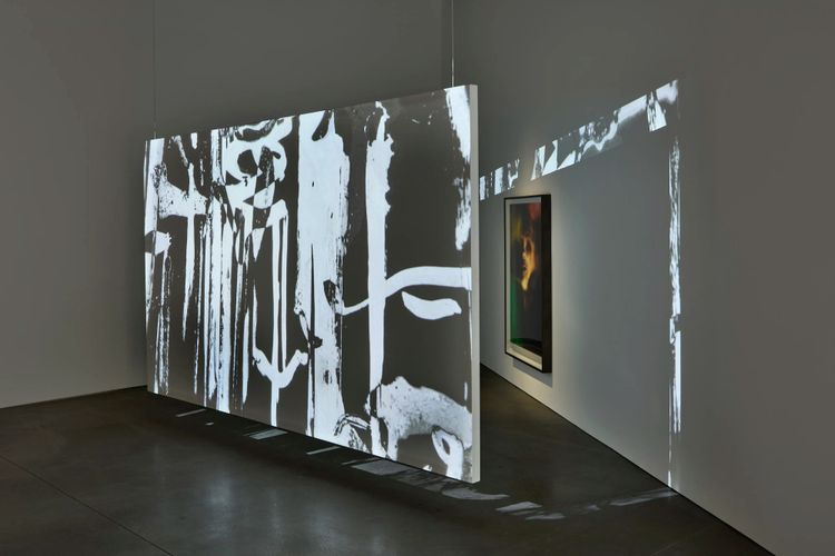 Installation view, On an Overgrown Path, Marian Goodman, New York · 2026 (9)