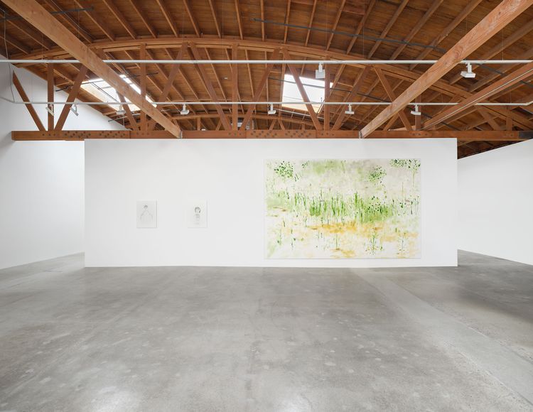 Installation view, Trevor Shimizu, Matthew Brown, Los Angeles · 2026 (3)