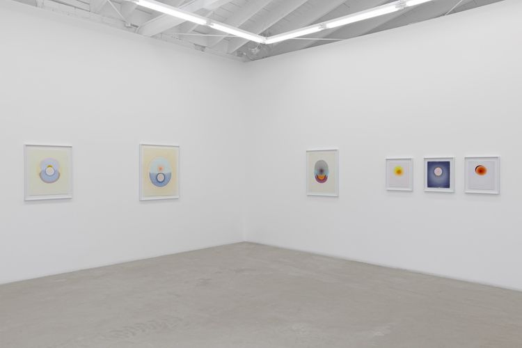 Installation view, The Drops, Luis De Jesus Los Angeles · 2026 (18)