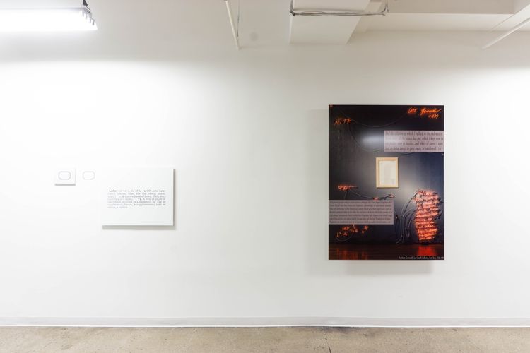 Installation view, Joseph Kosuth: I Shall Offer It To You As A Ready-Made Product, Castelli Gallery · 2026 (6)