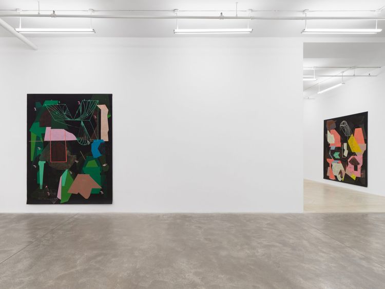 Installation view, A Light Left On In the Hallway, Casey Kaplan · 2026 (7)