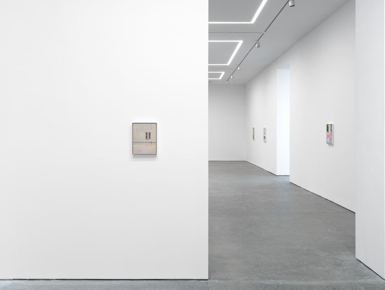 Installation view, Dike Blair, Karma, 549 West 26th Street · 2026 (8)