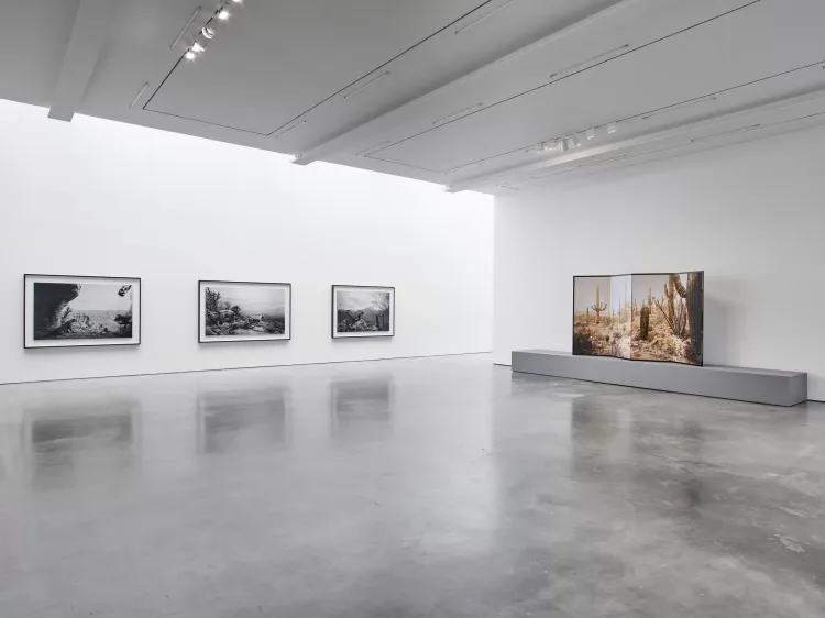 Installation view, Hiroshi Sugimoto, Lisson, 504 W 24th Street · 2026 (2)