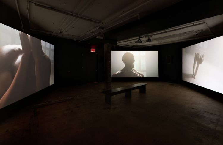 Installation view, Dweller, The Swiss Institute · 2026 (6)