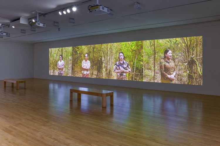Installation view, The Imaginative Landscape, San Jose Museum of Art · 2025 (4)
