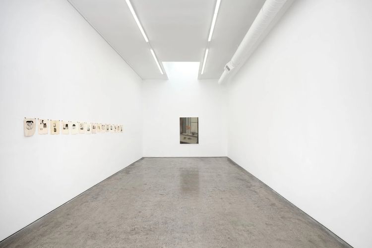 Installation view, Chamber, Megan Mulrooney · 2026 (7)