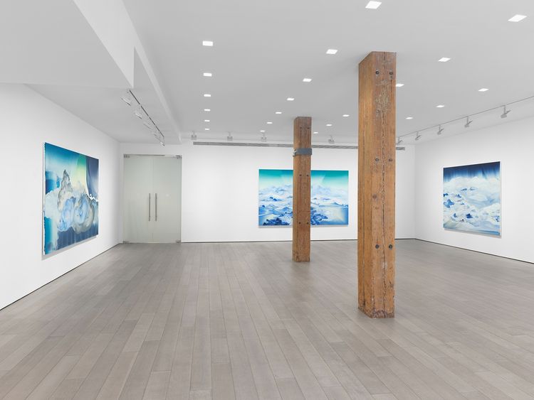 Installation view, Lost Horizon, Miles McEnery, 525 W 22nd Street · 2026 (7)