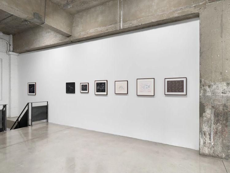 Installation view, Mark Dion, Tanya Bonakdar Gallery, New York · 2026 (8)