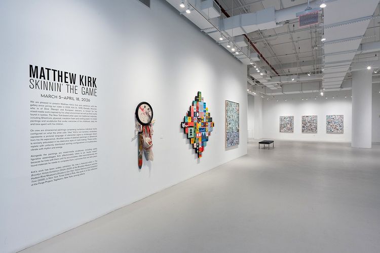 Installation view, Skinnin' the Game, Sundaram Tagore · 2026 (11)