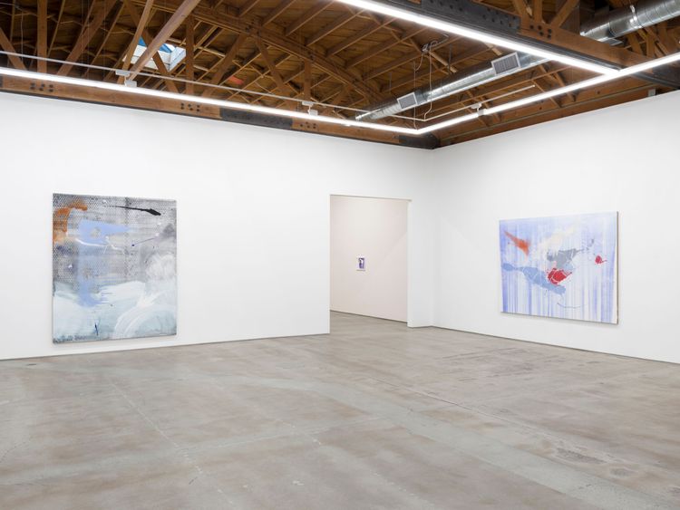 Installation view, Aragonite and conchiolin, Château Shatto · 2026 (4)
