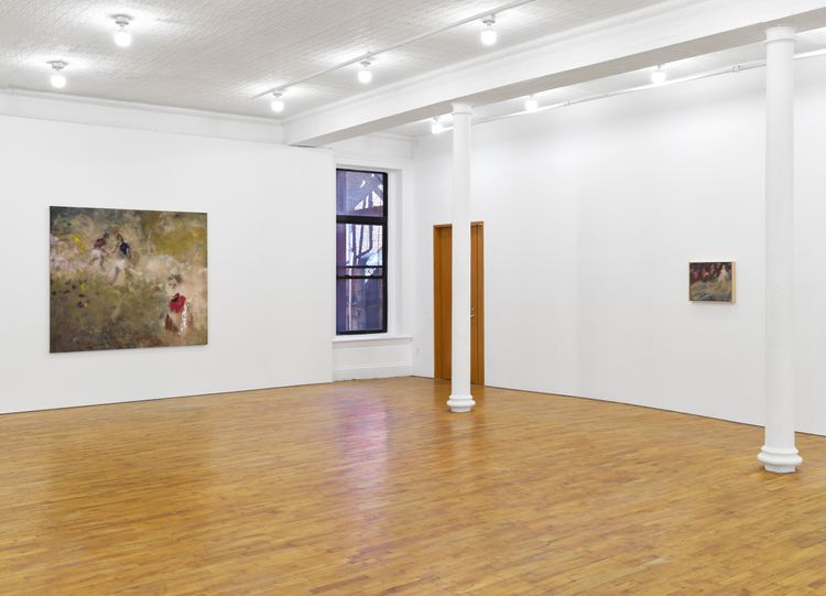 Installation view, Swallow the Ground, Tara Downs · 2026 (5)