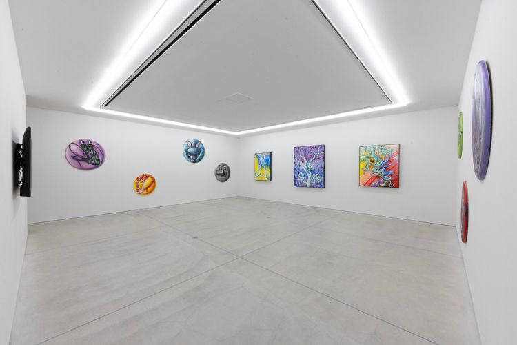 Installation view, Kenny Scharf: ShimiShimiKao!, NANZUKA · 2026 (3)