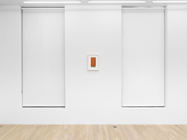 Installation view, Cauldron, Magenta Plains · 2026 (2)