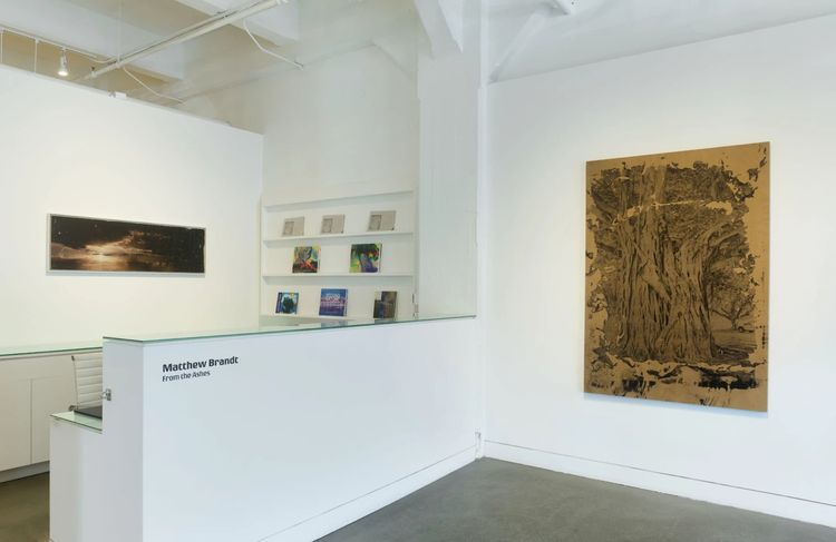 Installation view, From the Ashes, Haines Gallery · 2025 (4)
