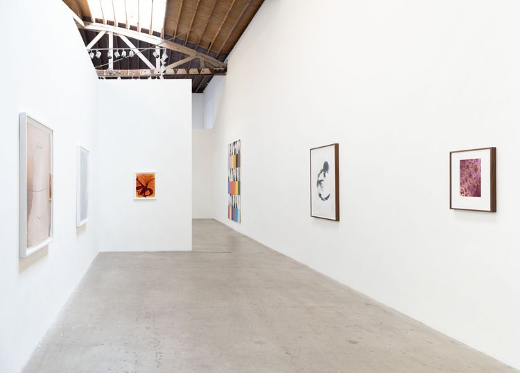 Installation view, x-ray island, Moskowitz Bayse · 2026 (3)