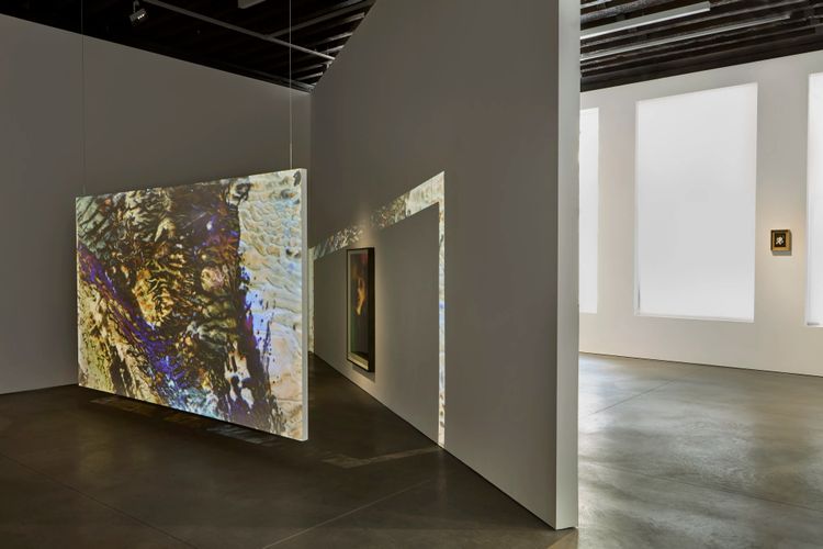 Installation view, On an Overgrown Path, Marian Goodman, New York · 2026 (11)