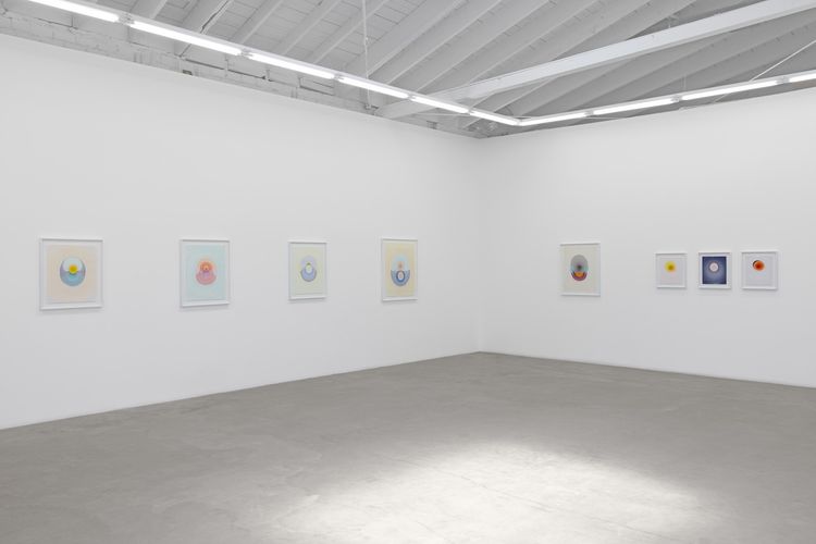 Installation view, The Drops, Luis De Jesus Los Angeles · 2026 (19)
