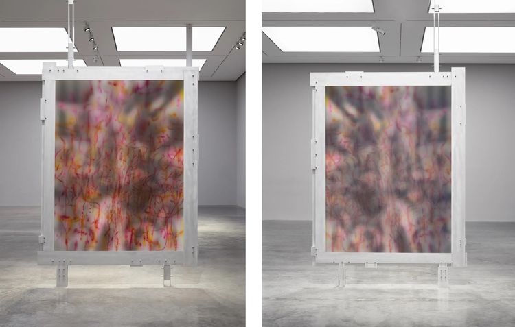 Installation view, Our Days, Like a Shadow (a non-abiding hauntology), Marian Goodman, New York · 2026 (12)