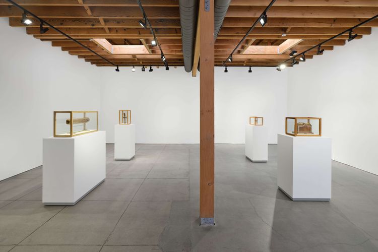 Installation view, Well, Fernberger Gallery · 2026 (8)