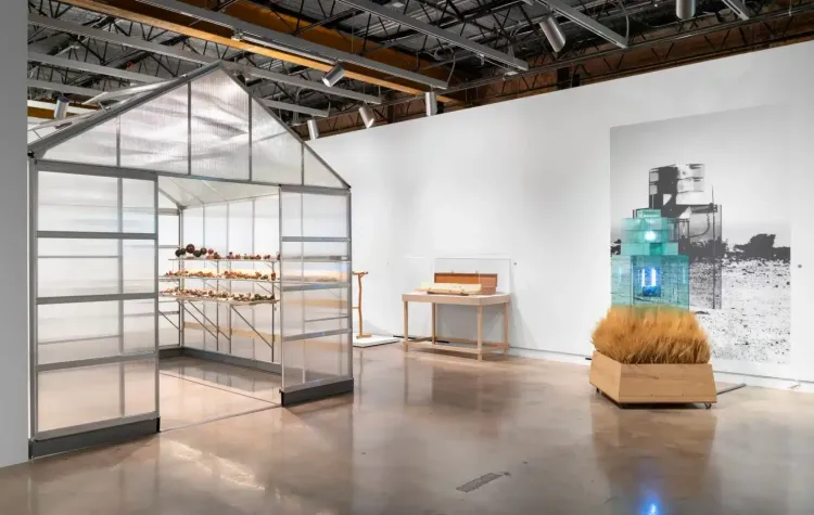 Installation view, Nature Never Loses, Institute of Contemporary Art · 2026 (4)