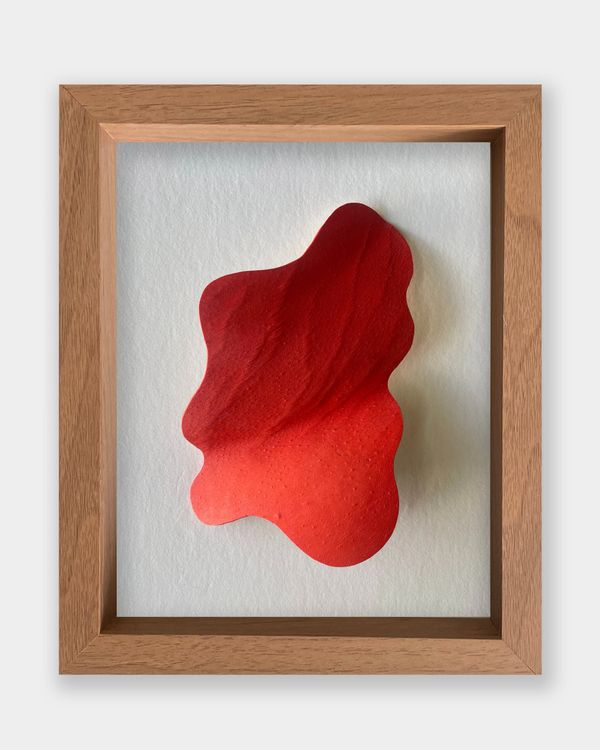 Installation view, Sarsabzi سرسبزی, Hannah Traore Gallery · 2025 (10)