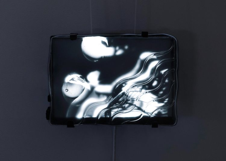 Installation view, ReLensing, bitforms gallery · 2026 (8)