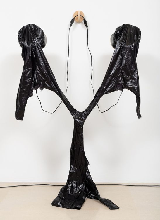 Installation view, Automa Mon Amour, Greene Naftali · 2026 (24)