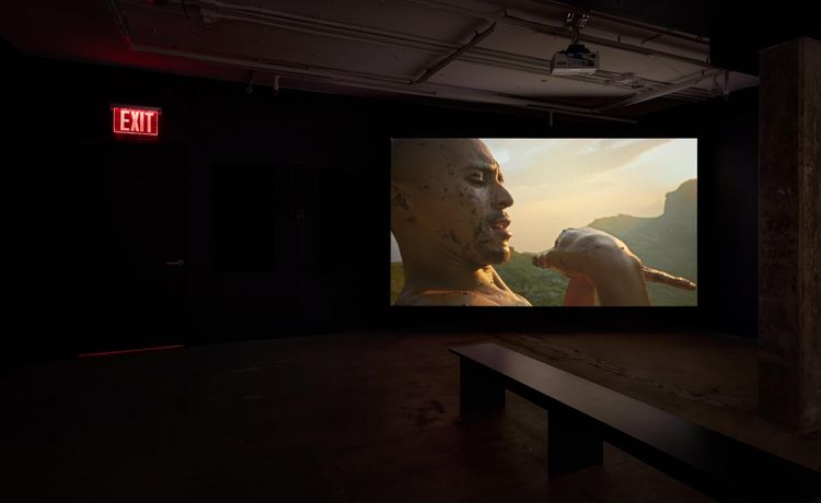 Installation view, Dweller, The Swiss Institute · 2026 (3)