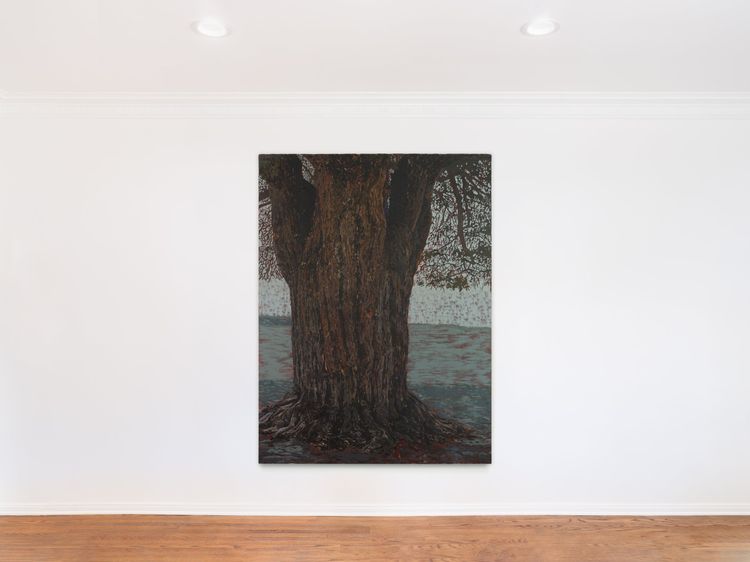 Installation view, Where We Left It, Sea View Gallery  · 2026 (1)