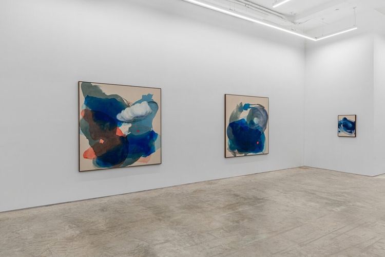 Installation view, Penumbra, Anat Ebgi · 2025 (2)