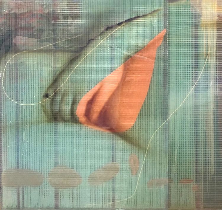 Installation view, Hand of Venus, Daniela Mercuri