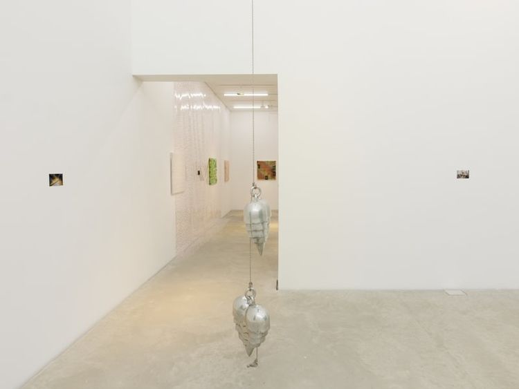 Installation view, Facial, Amant · 2025 (13)