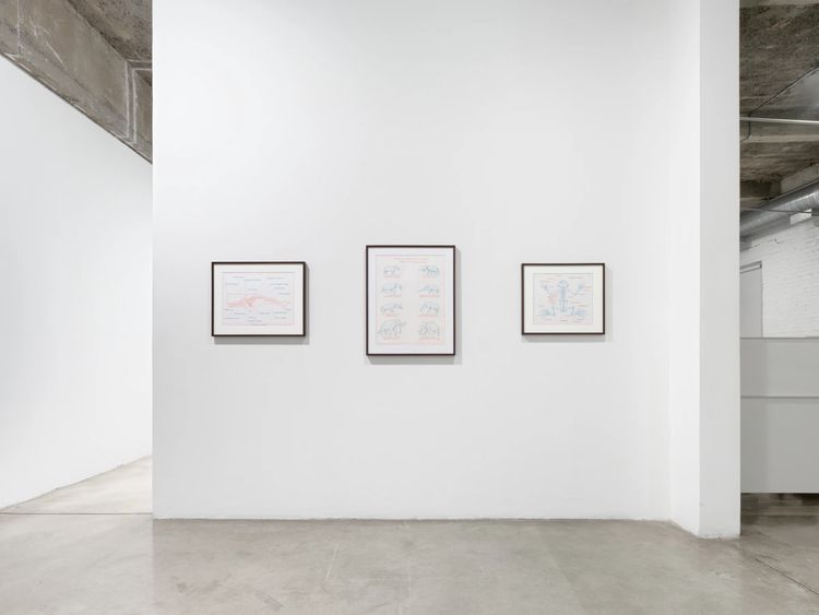 Installation view, Mark Dion, Tanya Bonakdar Gallery, New York · 2026 (7)