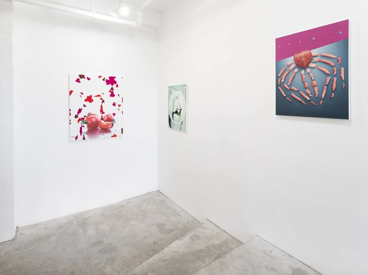 Installation view, Sun, Stump Gallery
