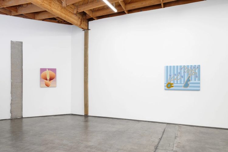 Installation view, Taut, Megan Mulrooney · 2026 (4)