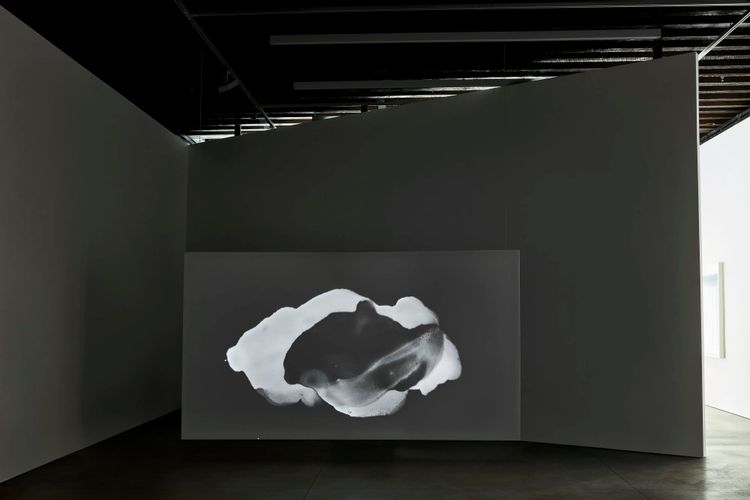 Installation view, On an Overgrown Path, Marian Goodman, New York · 2026 (8)