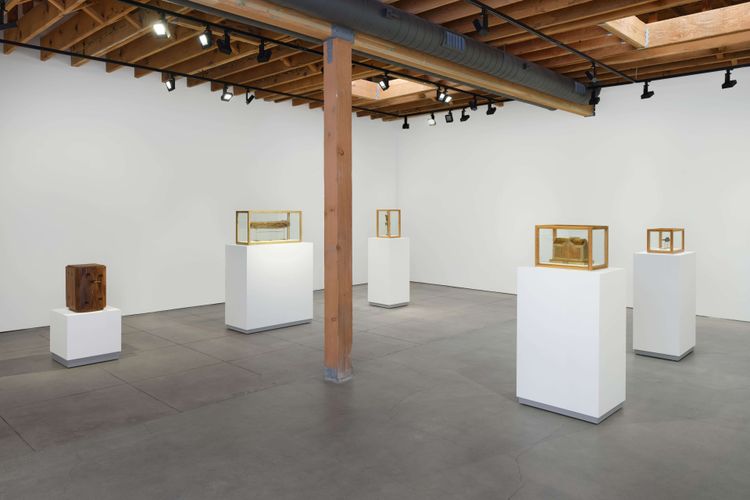Installation view, Well, Fernberger Gallery · 2026 (10)