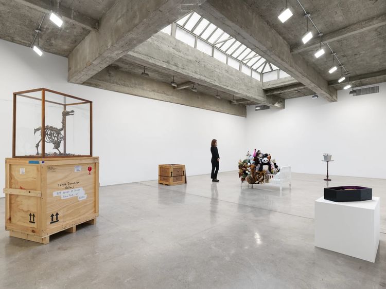 Installation view, Mark Dion, Tanya Bonakdar Gallery, New York · 2026 (9)