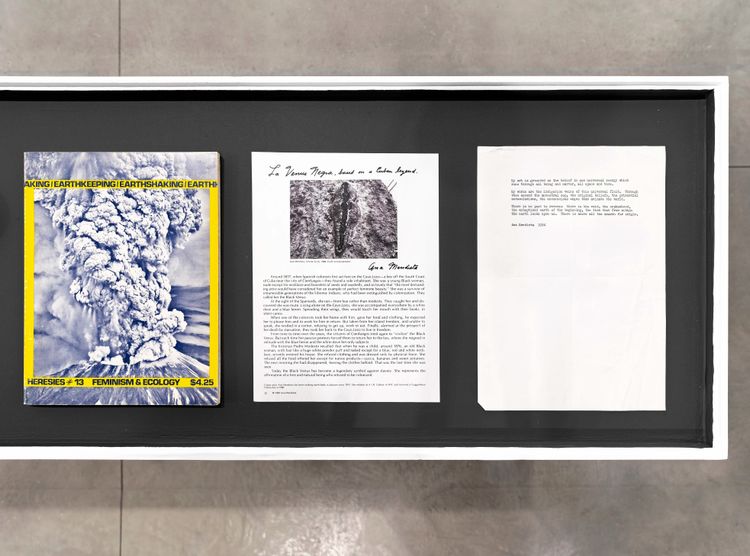 Installation view, Back to the Source, Marian Goodman, New York · 2025 (17)