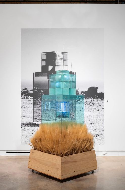 Installation view, Nature Never Loses, Institute of Contemporary Art · 2026 (2)