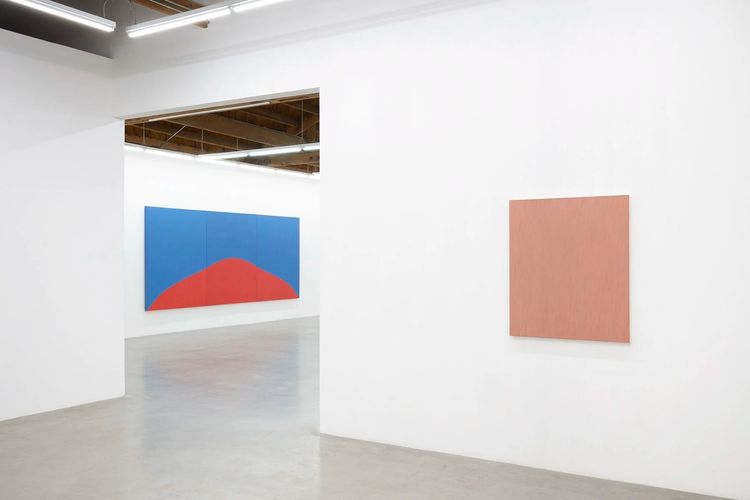Installation view, Experience of Being, Parrasch Heijnen Gallery · 2026 (2)