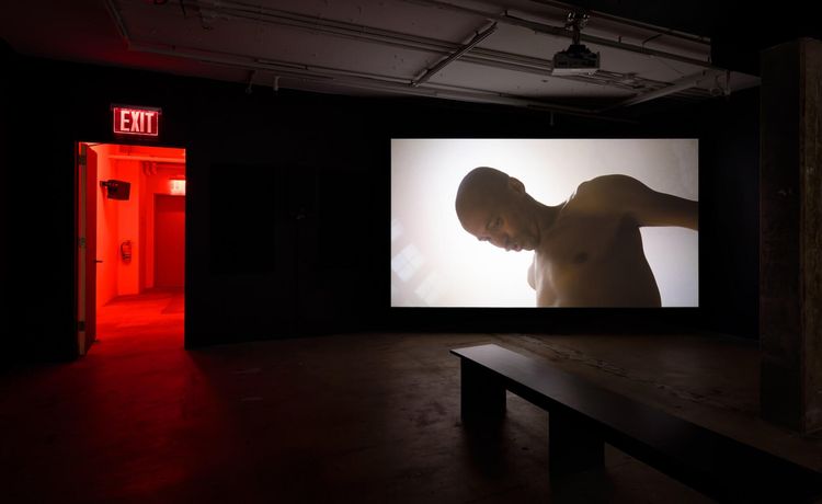 Installation view, Dweller, The Swiss Institute · 2026 (1)