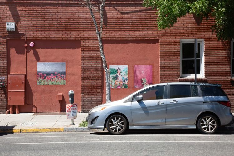 Installation view, The Imaginative Landscape, San Jose Museum of Art · 2025 (11)