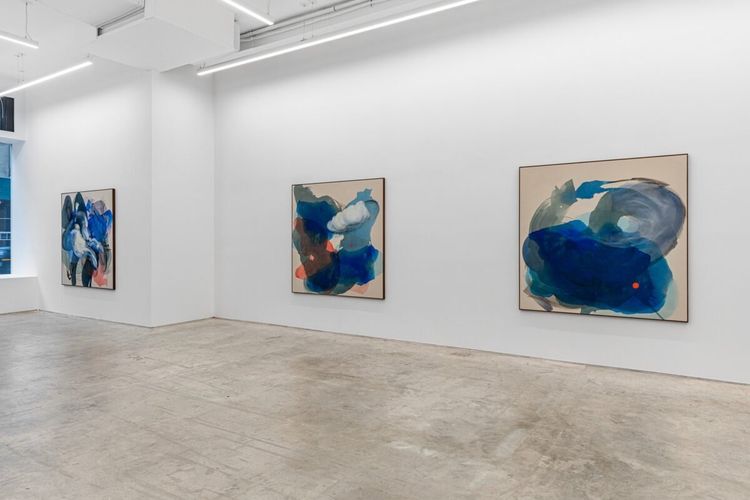Installation view, Penumbra, Anat Ebgi · 2025 (3)
