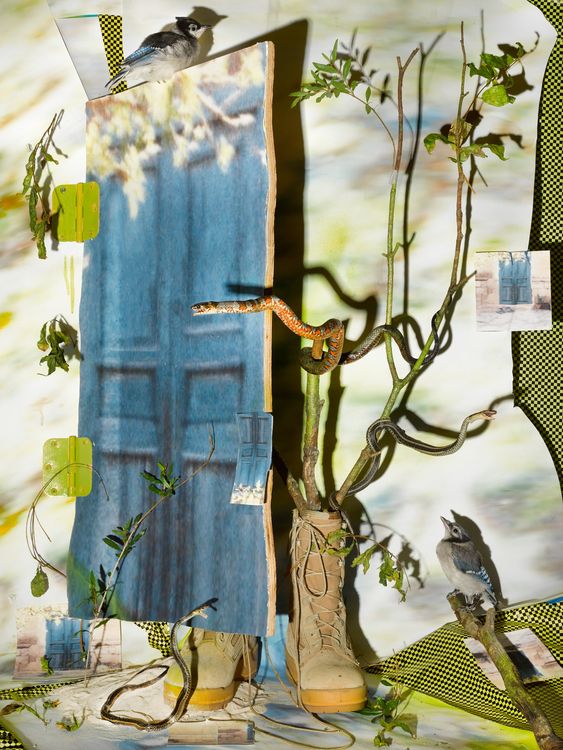 Installation view, Forest of Stars, Yancey Richardson · 2026 (3)