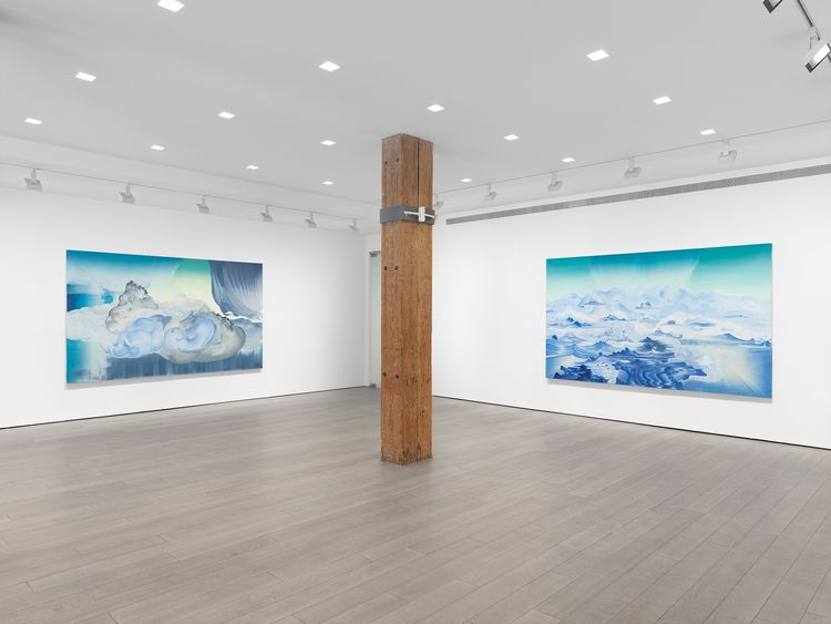 Installation view, Lost Horizon, Miles McEnery, 525 W 22nd Street · 2026 (11)