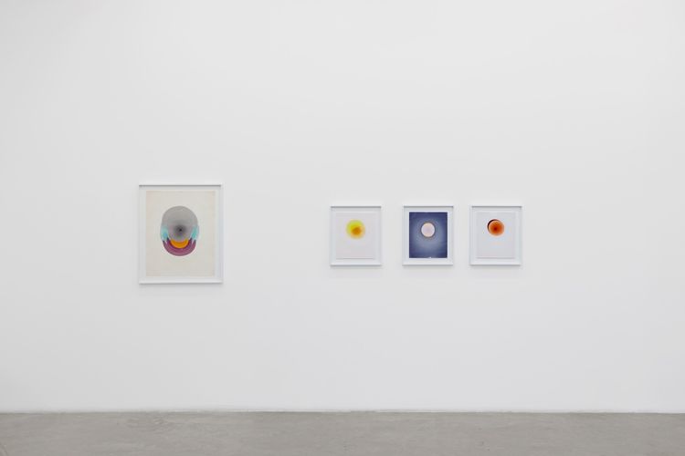 Installation view, The Drops, Luis De Jesus Los Angeles · 2026 (12)