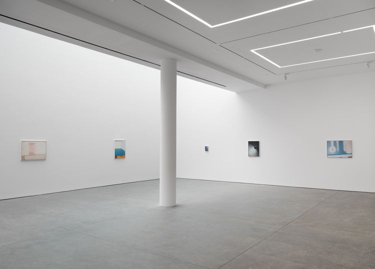 Installation view, Dike Blair, Karma, 549 West 26th Street · 2026 (17)