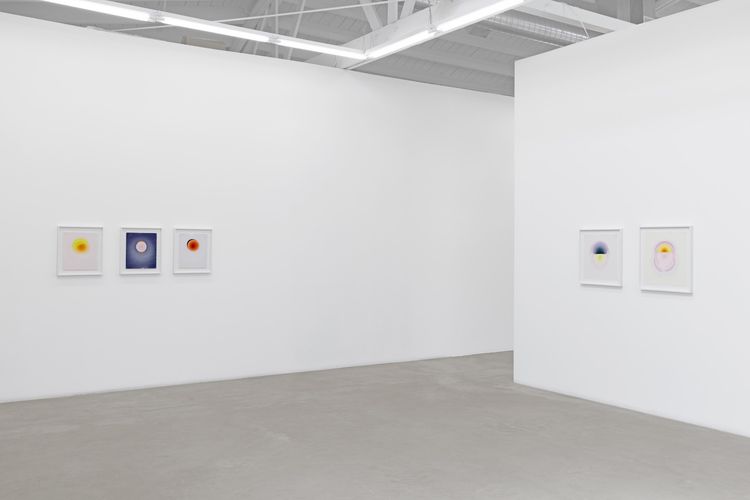 Installation view, The Drops, Luis De Jesus Los Angeles · 2026 (21)
